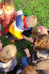 IMG-20221022-WA0017