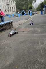 IMG-20251001-WA0025