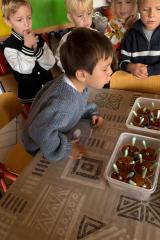 28f59532-fec5-41d5-8cb4-d4101b4de3b1