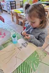 IMG-20240424-WA0017