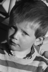Auguste-2