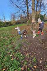 IMG-20251112-WA0005