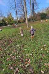 IMG-20251112-WA0008