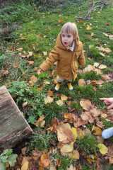 IMG-20251112-WA0009