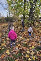 IMG-20251112-WA0012