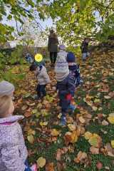 IMG-20251112-WA0018