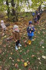 IMG-20251112-WA0019