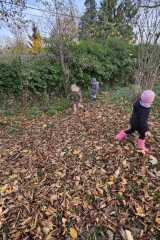 IMG-20251112-WA0023