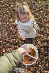 IMG-20251112-WA0024