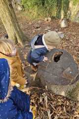 IMG-20251112-WA0025