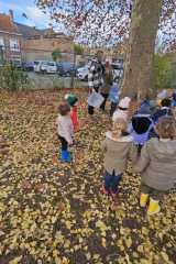 IMG-20251112-WA0043