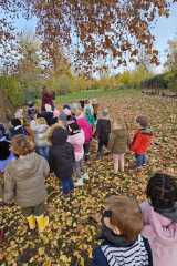 IMG-20251112-WA0044