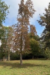 thumbnail_IMG_4845
