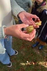 thumbnail_IMG_4850