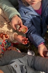 thumbnail_IMG_4871