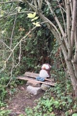 thumbnail_IMG_4940