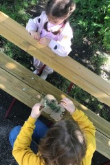 thumbnail_IMG_3164