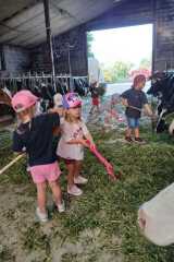 IMG-20250628-WA0005