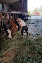 IMG-20250628-WA0006