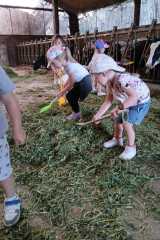 IMG-20250628-WA0007