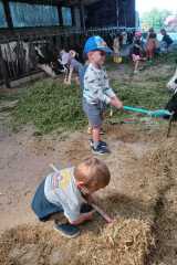 IMG-20250628-WA0008