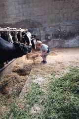 IMG-20250628-WA0009