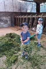IMG-20250628-WA0010