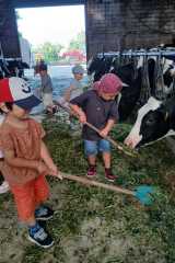IMG-20250628-WA0011