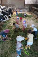IMG-20250628-WA0013
