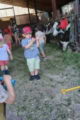 IMG-20250628-WA0015
