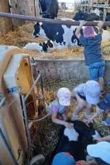 IMG-20250628-WA0016