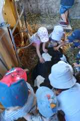 IMG-20250628-WA0017