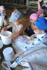 IMG-20250628-WA0018