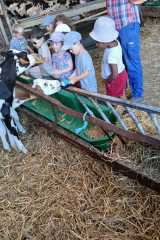 IMG-20250628-WA0019
