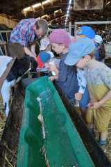 IMG-20250628-WA0021