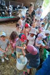IMG-20250628-WA0023