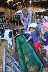 IMG-20250628-WA0024