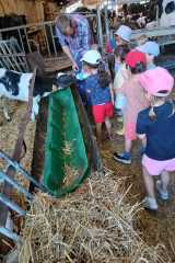 IMG-20250628-WA0025