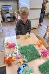 IMG-20240612-WA0072