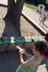 IMG-20250701-WA0016