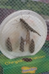 20190527_090109