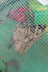20190527_090120