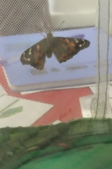 20190527_090316