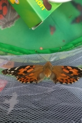 20190527_171346