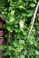 20190531_150529