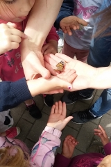 20190531_150747