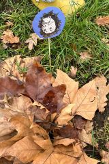 IMG-20260121-WA0036