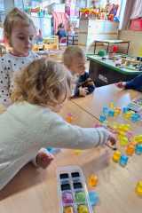 IMG-20240312-WA0019