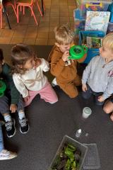 16719ffd-06db-47f5-bef0-1a03c94c1440