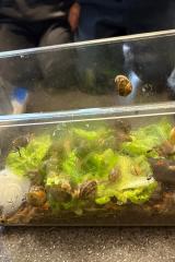 2a3d231e-a905-4373-9dad-3f6c55c44c8f